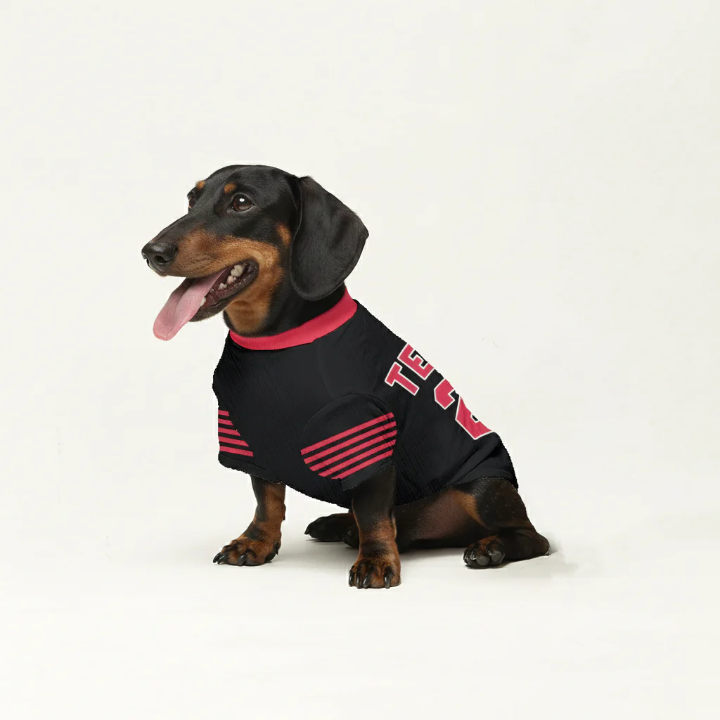 Zander - Personalized Wool Sweater for Doxie - Image 3