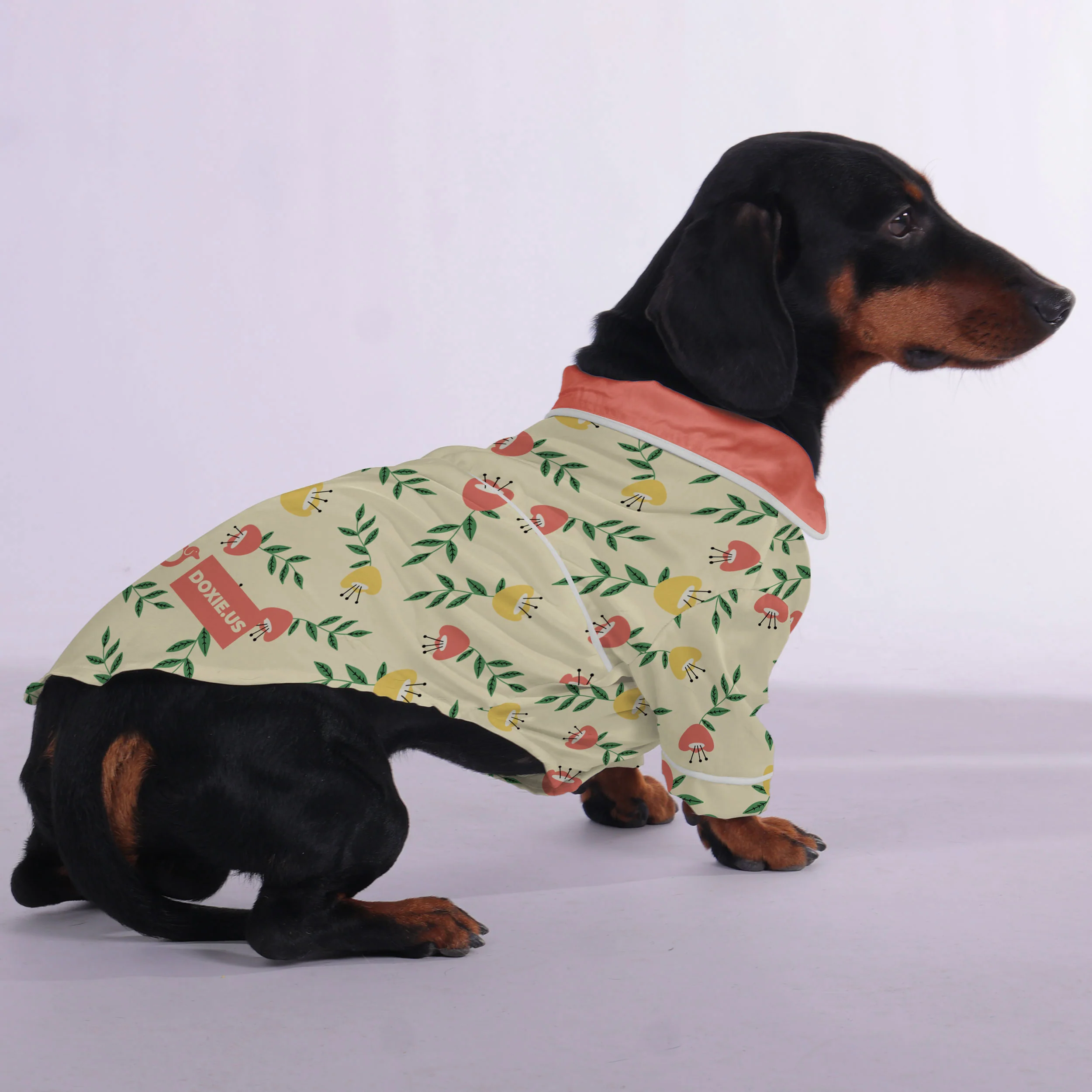 Poppy - Pajamas for Dachshund