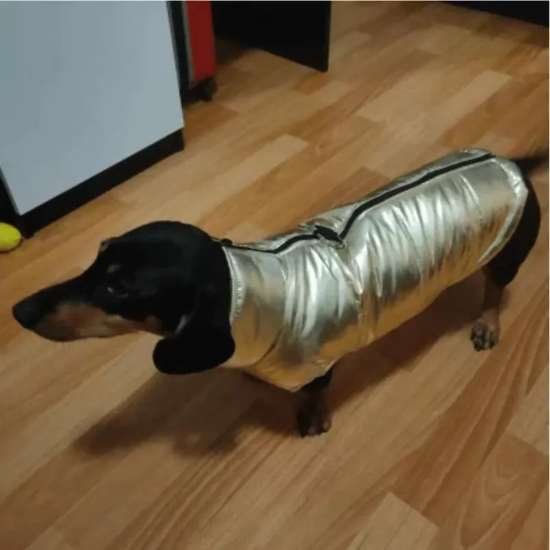 Premium Dachshund Gloossy Jacket Ultimate Wet-Weather Protection - Image 11