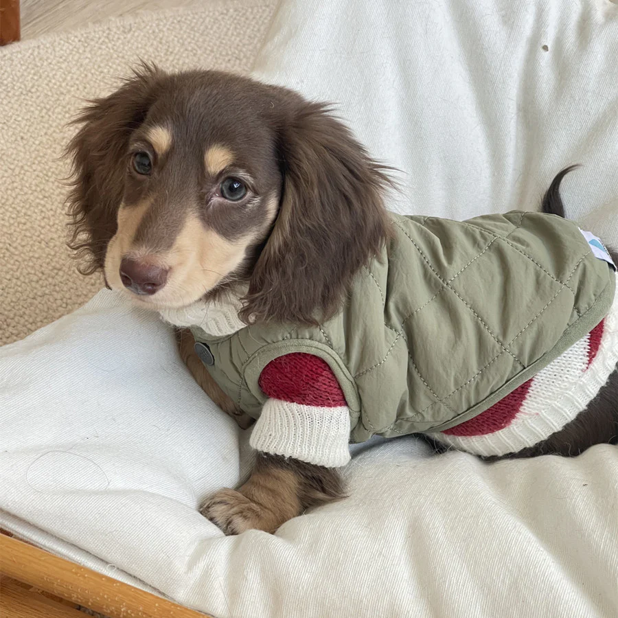 Premium Dachshund Sweater Comfortable and Durable - Image 4