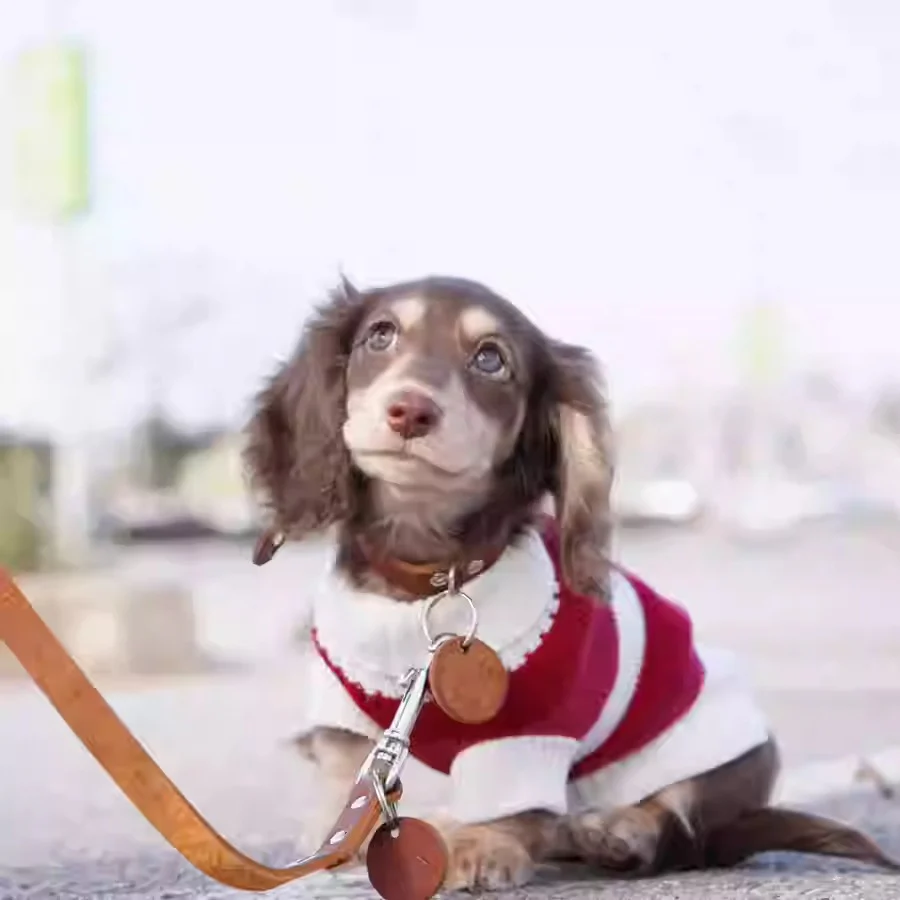 Premium Dachshund Sweater Comfortable and Durable - Image 5