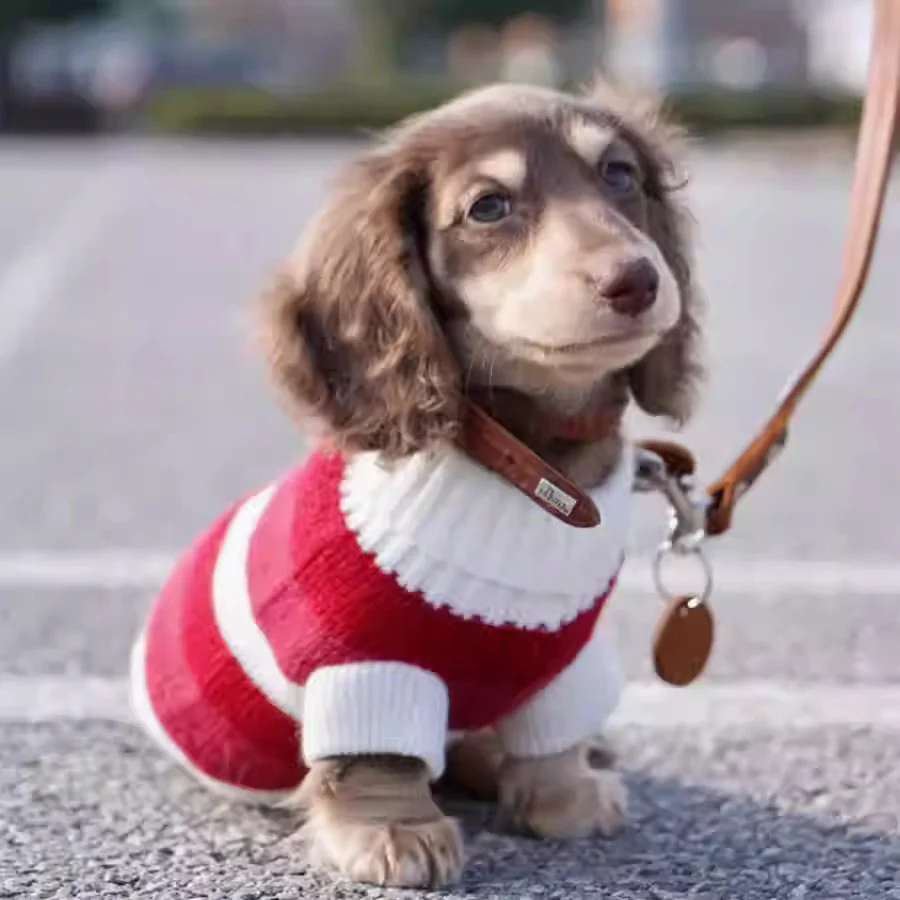 Premium Dachshund Sweater Comfortable and Durable - Image 7
