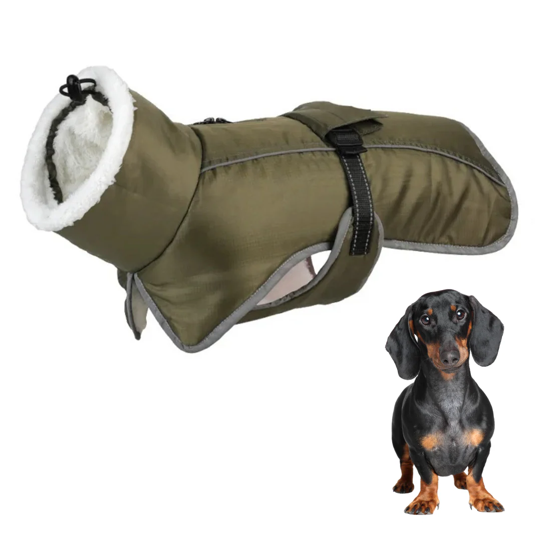 Premium Fleece Dachshund Coat - Image 7