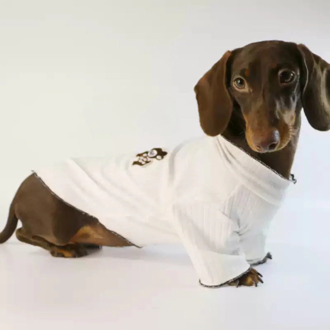 Premium White Ribbed Sweater for Dachshunds - Image 2