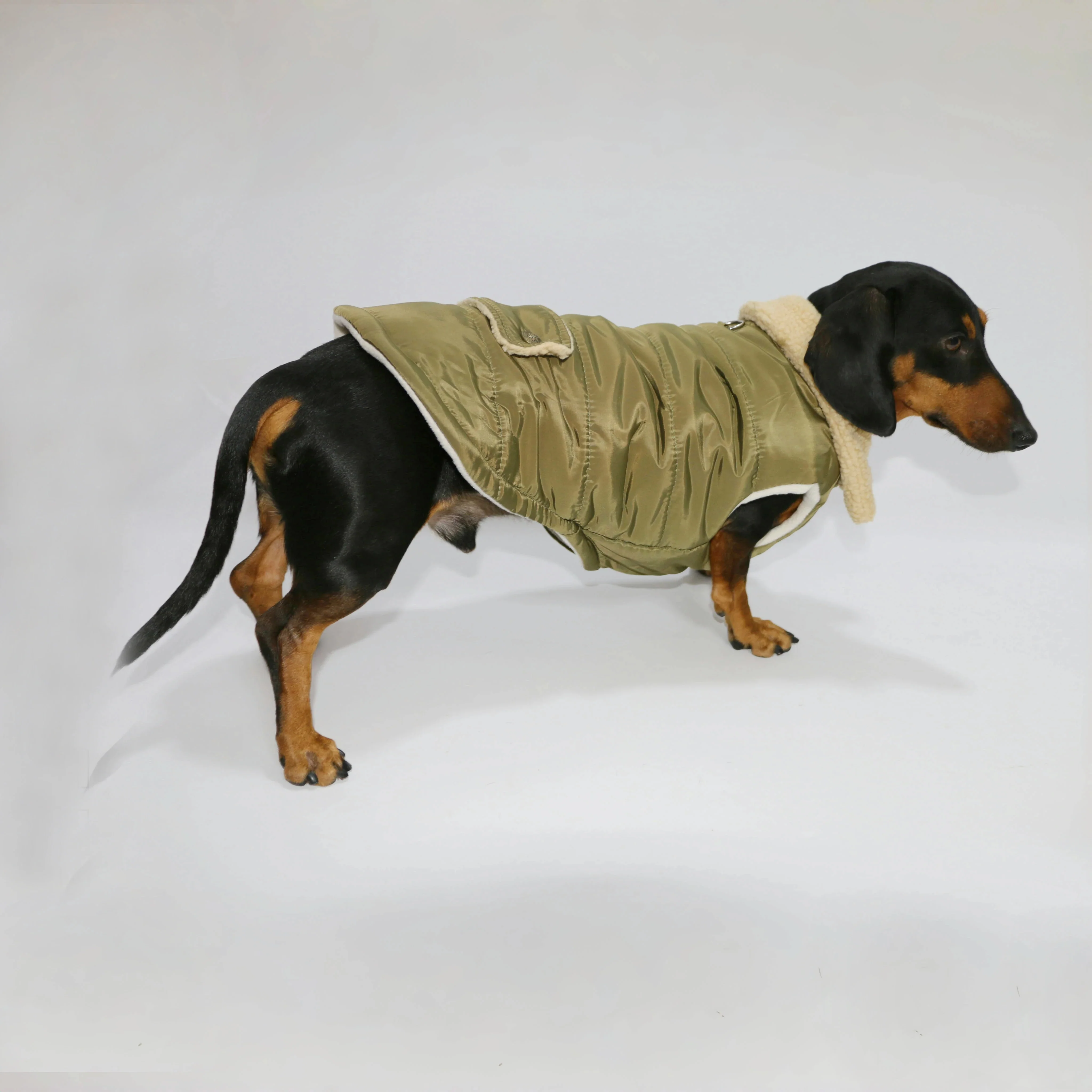 Doxie Sherpa Puffer Dachshund Vest – Warm Quilted Dog Jacket with Cozy Fleece Collar - Image 4
