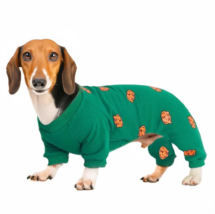 Pumpkin Patch Dachshund Pajamas