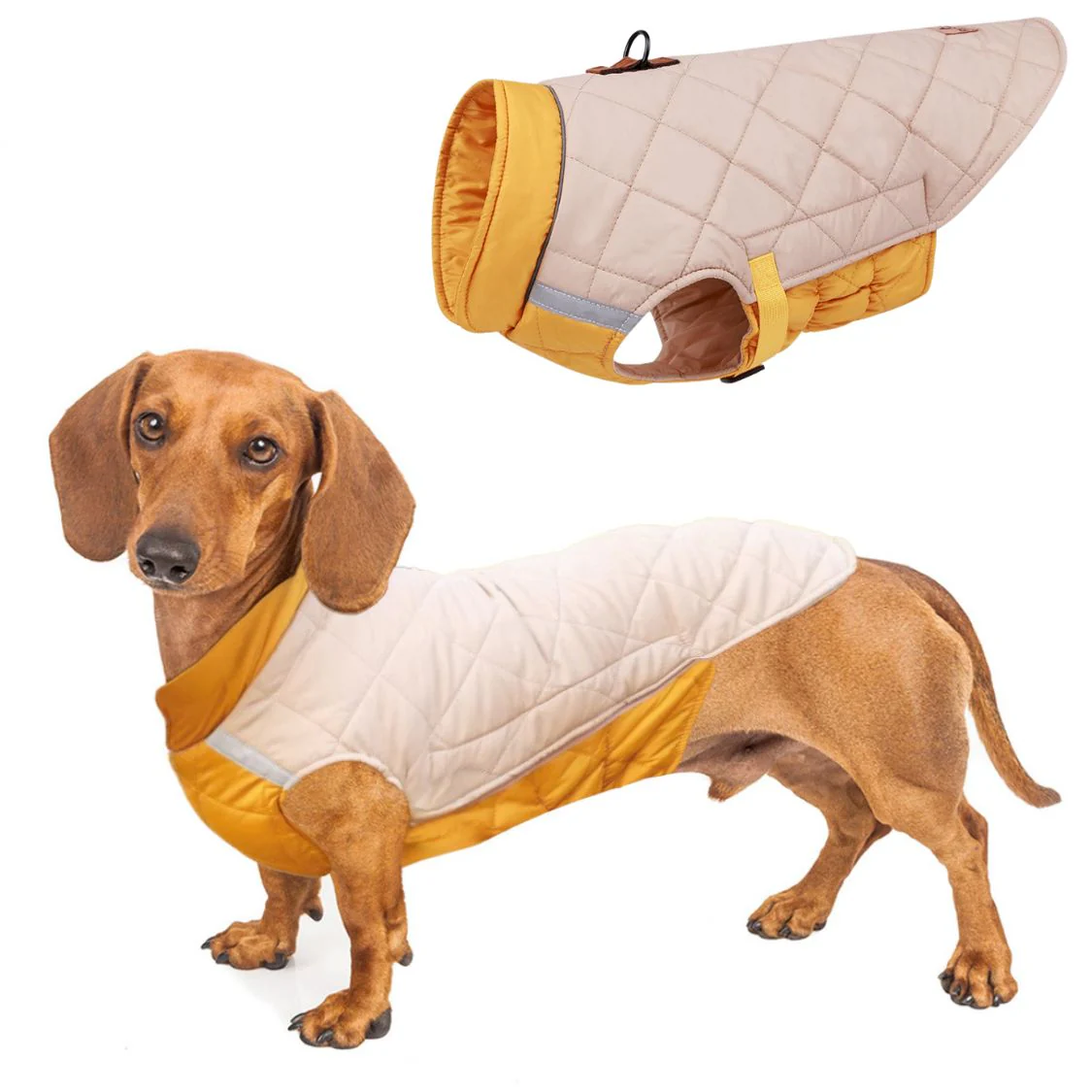 Reflective Quilted Dachshund Coat with Safety Leash Ring - Image 2
