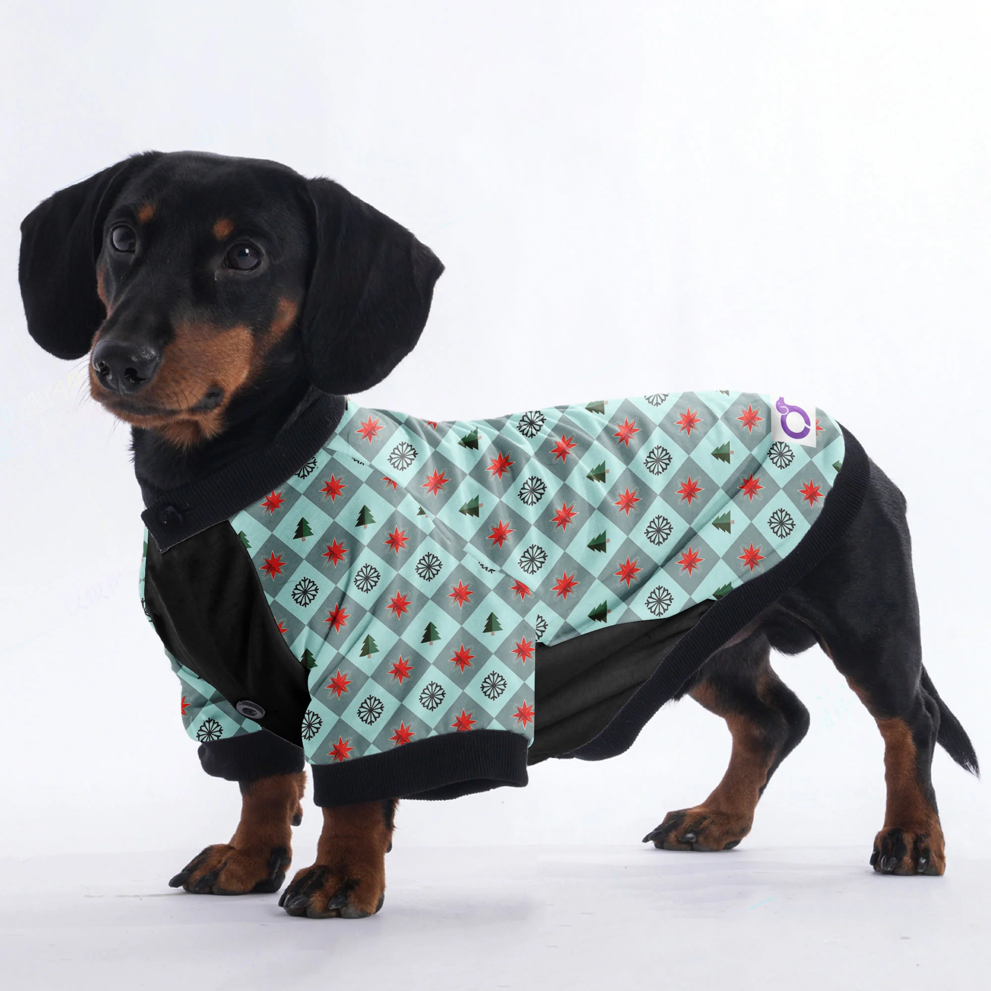 Rocky - Jacket for Dachshunds - Image 3