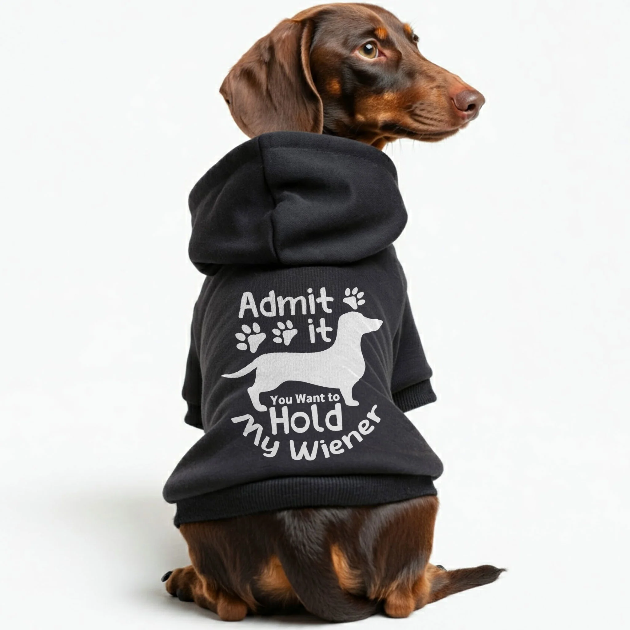Ruby - Personalized Dachshund Hoodies with Funny Quotes – Stylish, Cozy, and Premium 100% Cotton - Image 3