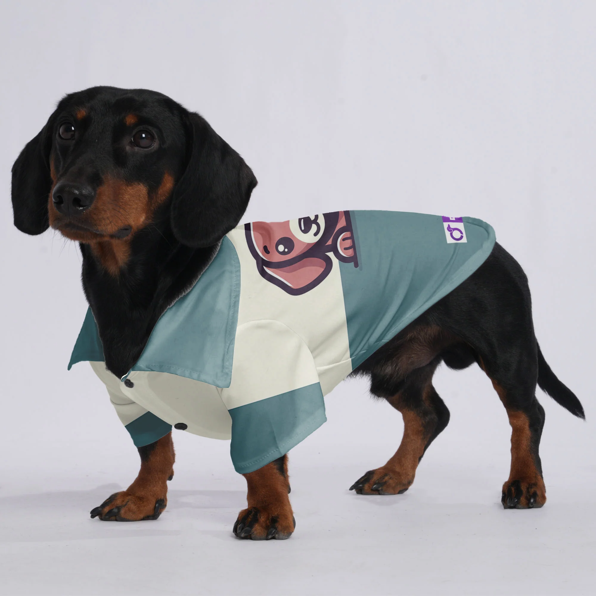 Sadie - Hawaiian Shirt for Doxies - Image 3