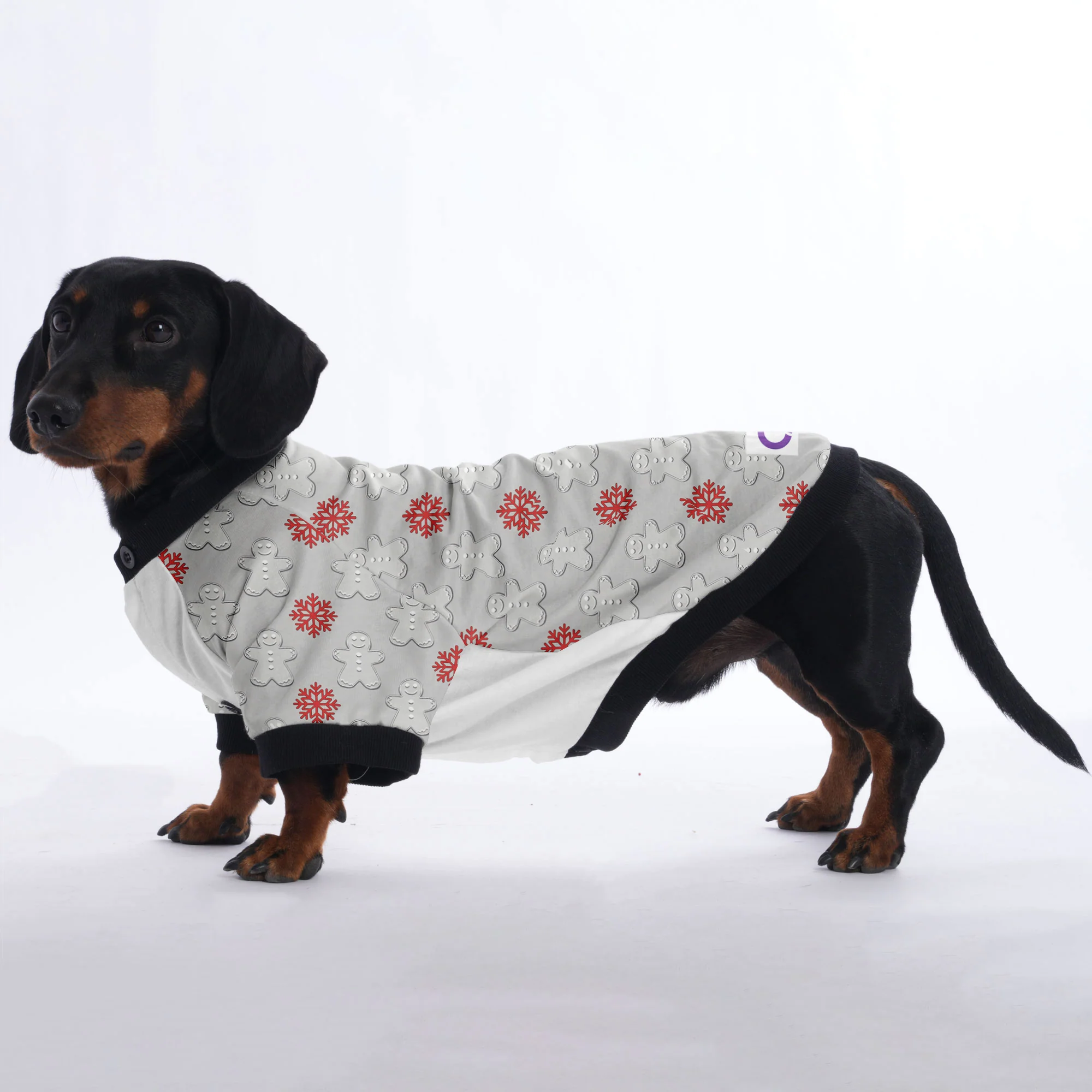 Sadie - Jacket for Dachshunds - Image 2