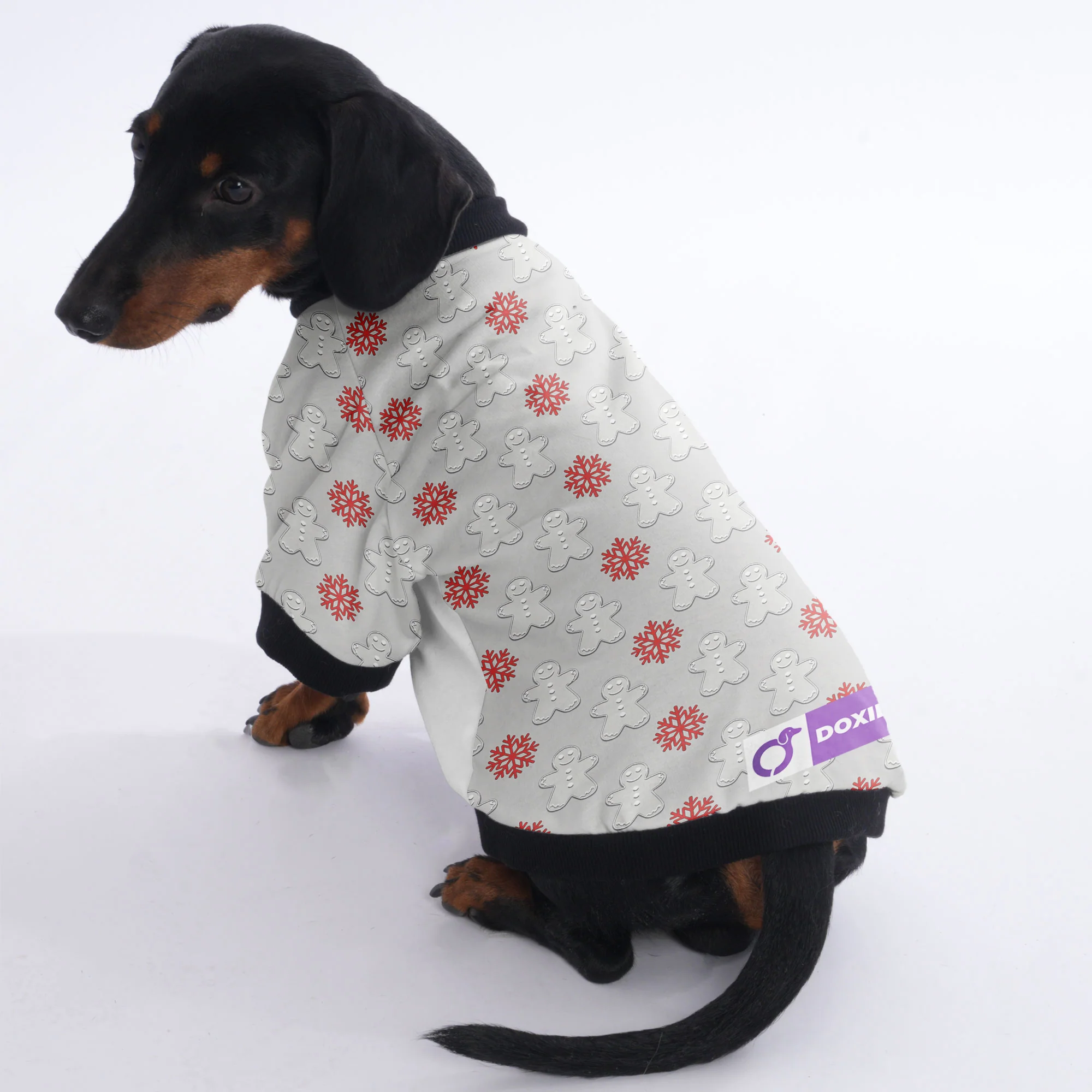 Sadie - Jacket for Dachshunds - Image 3