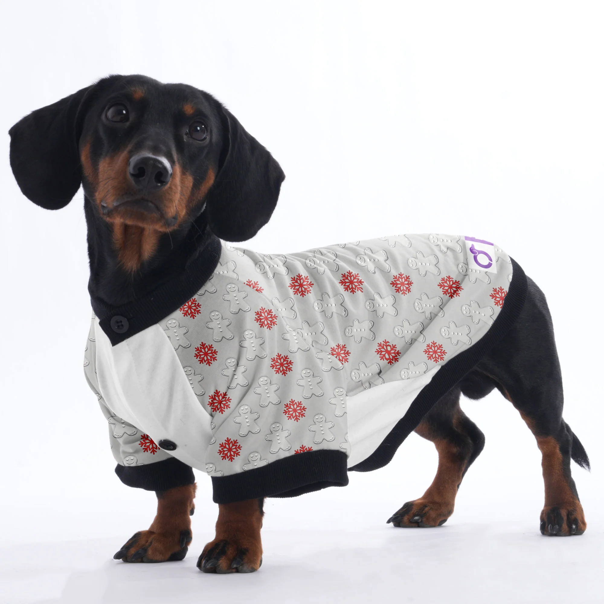 Sadie - Jacket for Dachshunds - Image 4