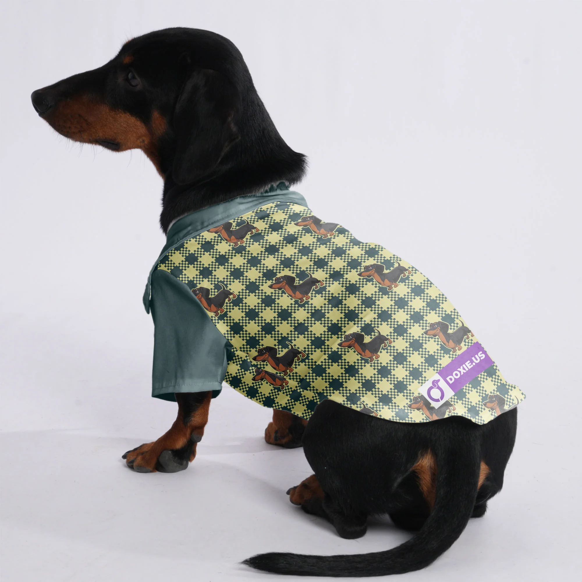 Sage - Hawaiian Shirt for Doxies