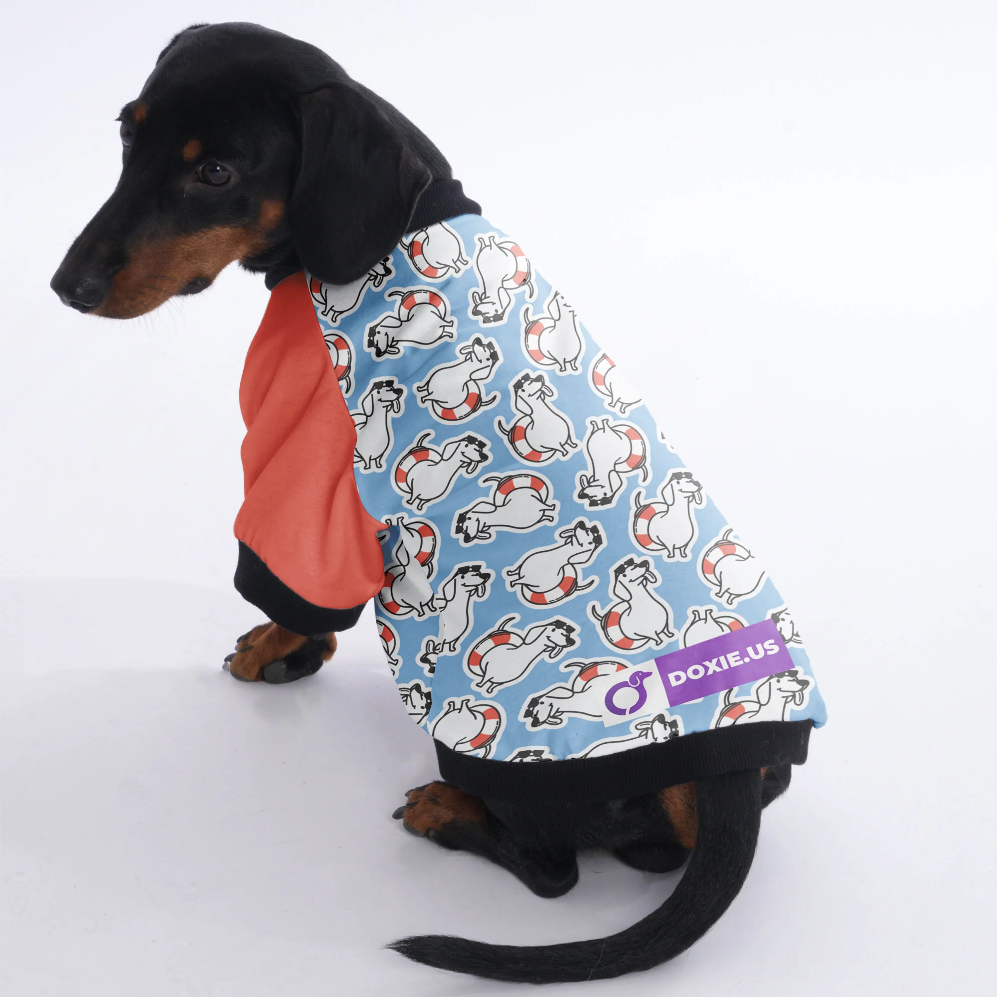 Sandra  - Jacket for Dachshunds - Image 4