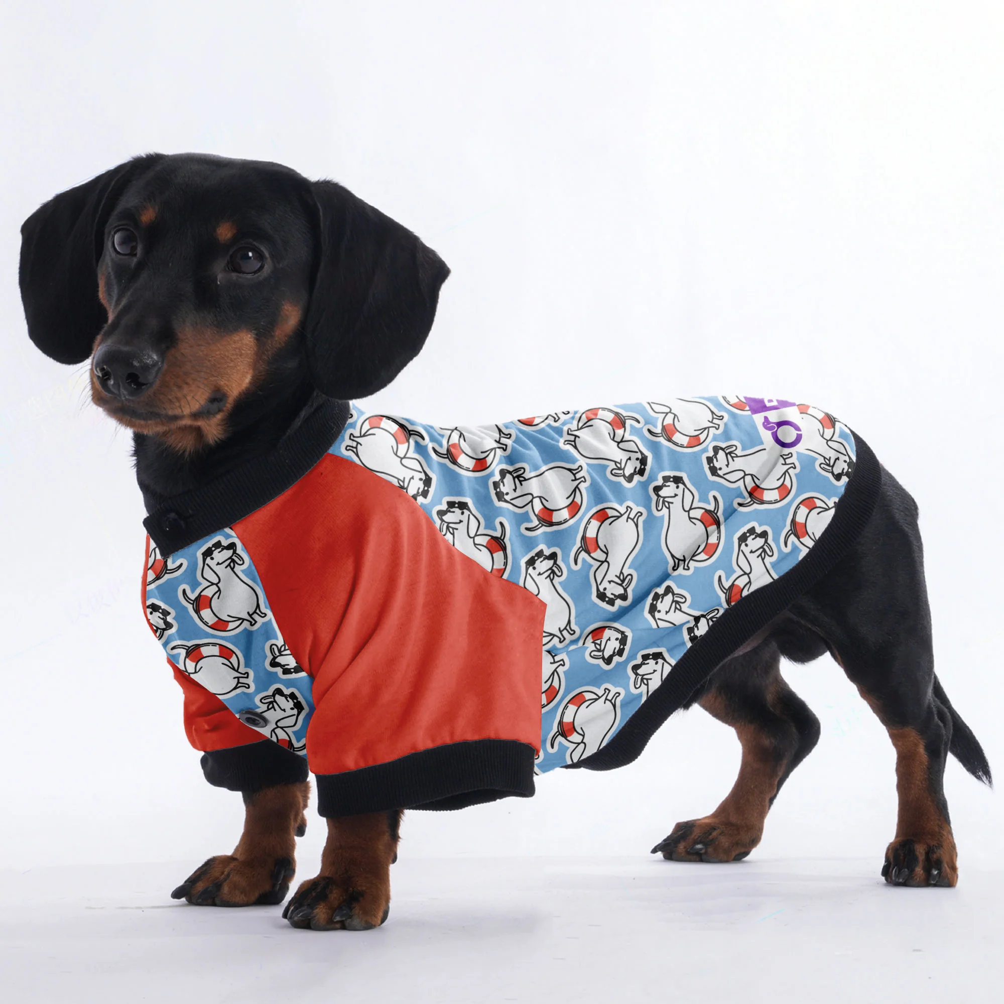 Sandra  - Jacket for Dachshunds - Image 5