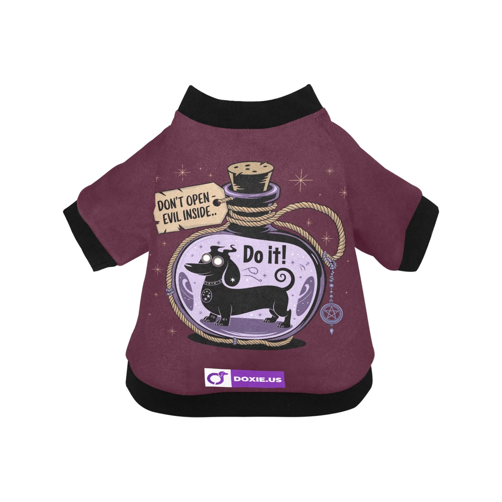 Scout - Jacket for Dachshunds - Image 2