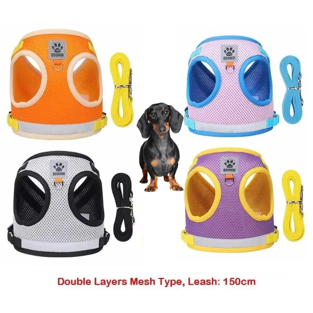 ShinePup Dachshund Reflective Harness with Leash - Image 12