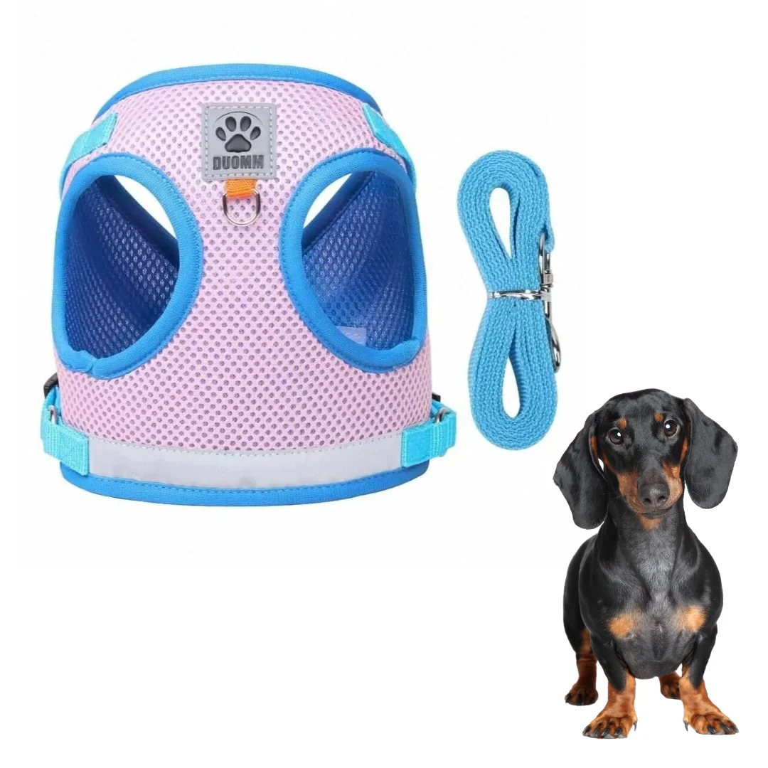 ShinePup Dachshund Reflective Harness with Leash - Image 8