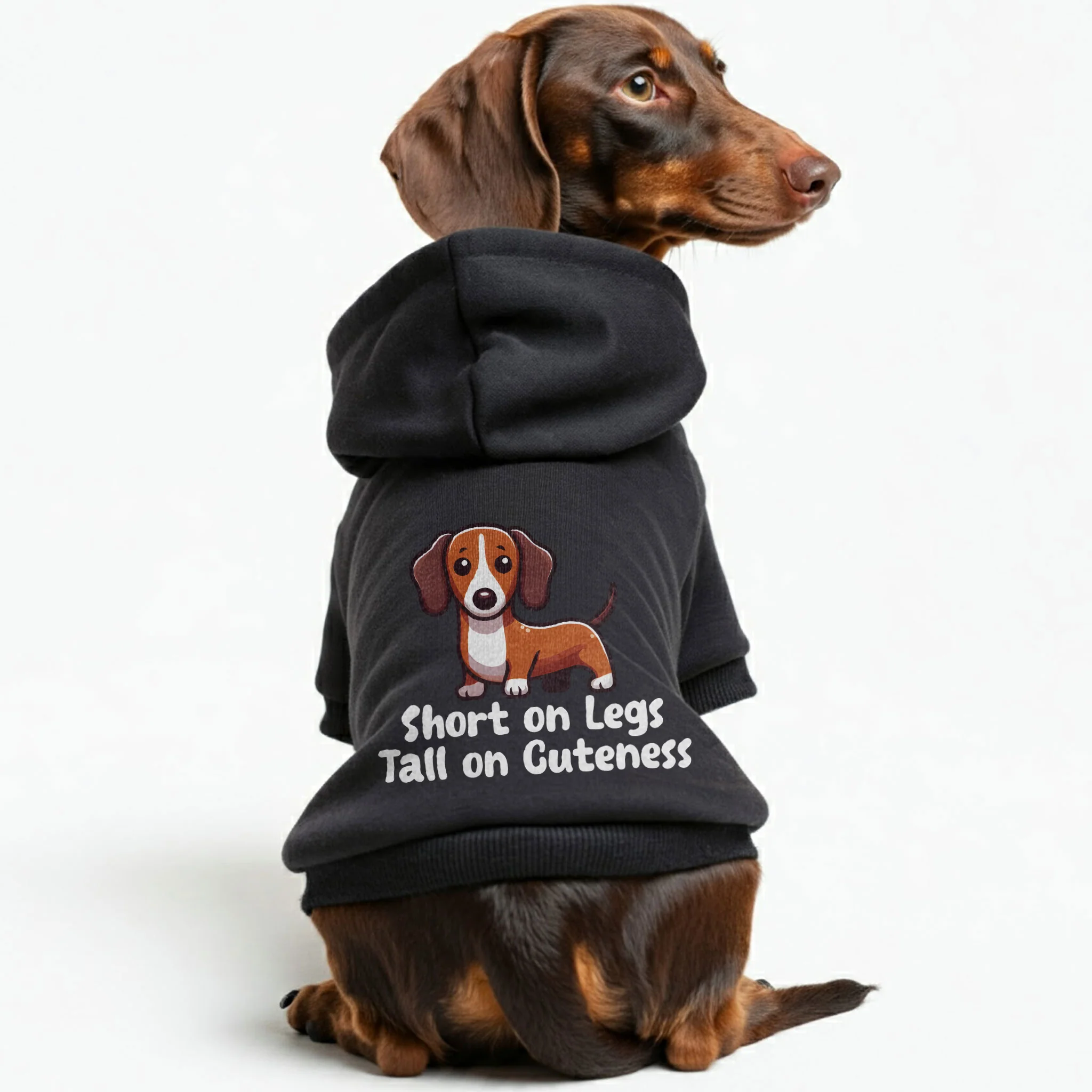 Short on Legs, Tall on Cuteness - Personalized Dachshund Hoodies with Funny Quotes – Stylish, Cozy, and Premium 100% Cotton - Image 2