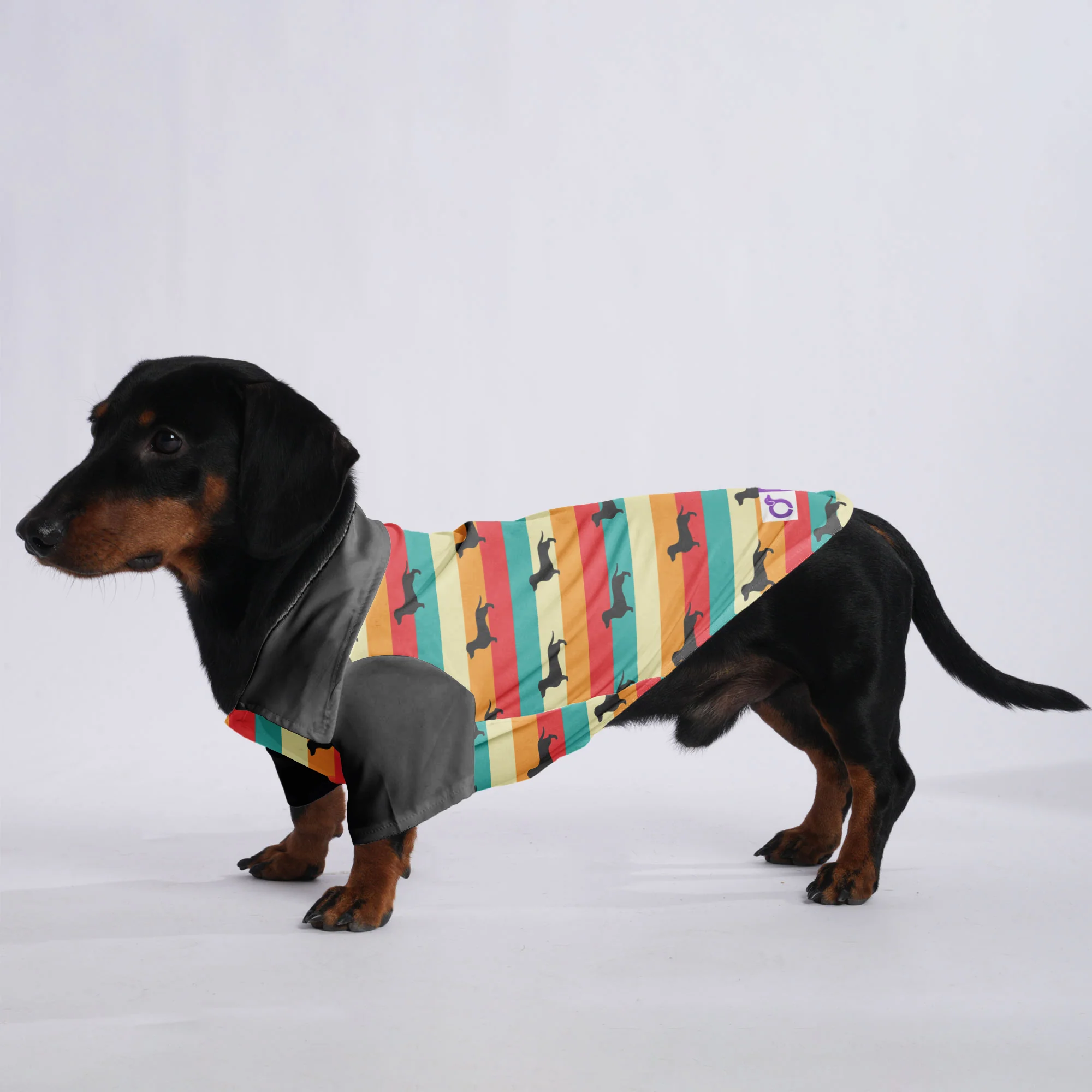 Simone- Hawaiian Shirt for Doxies - Image 2