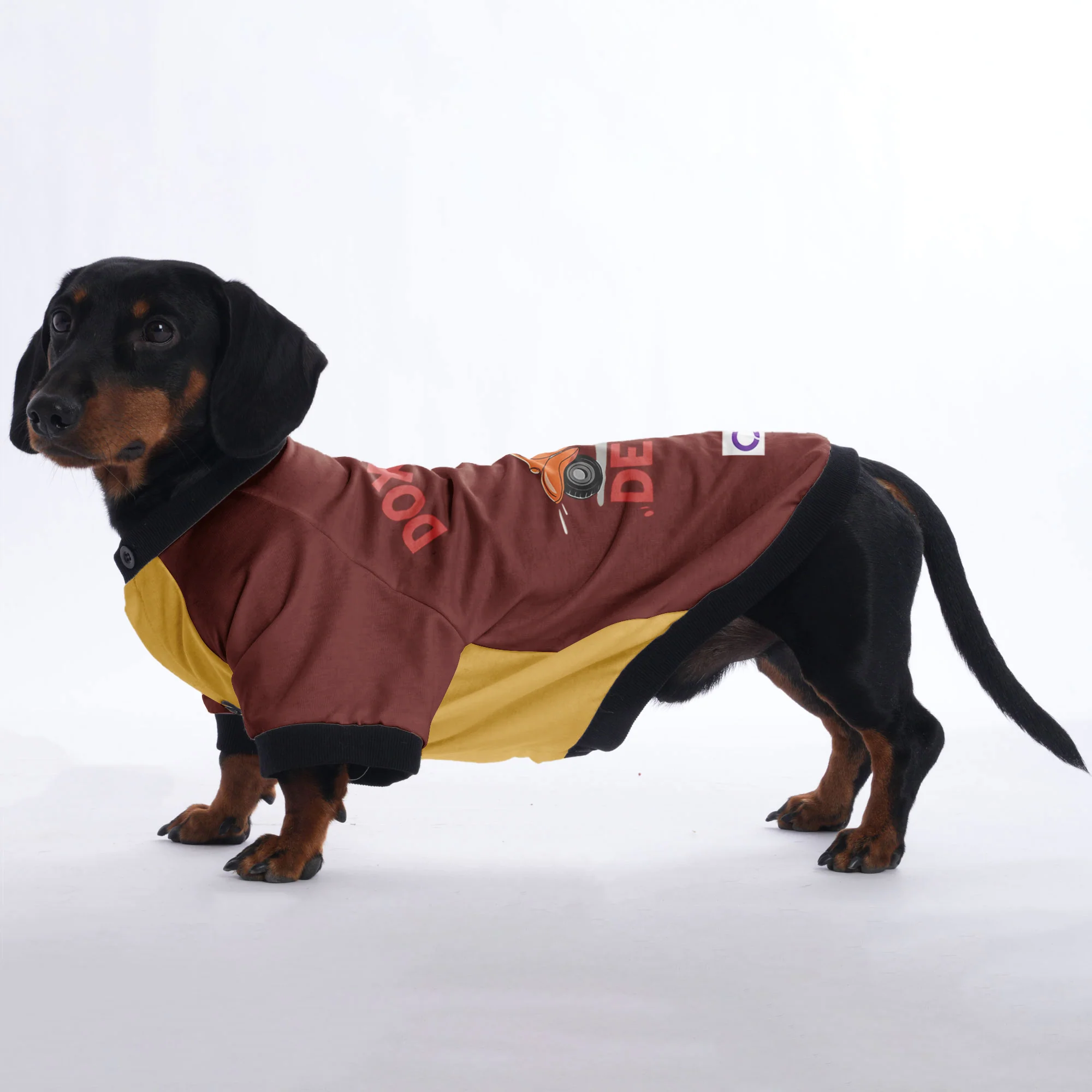 Sophie - Jacket for Dachshunds - Image 3