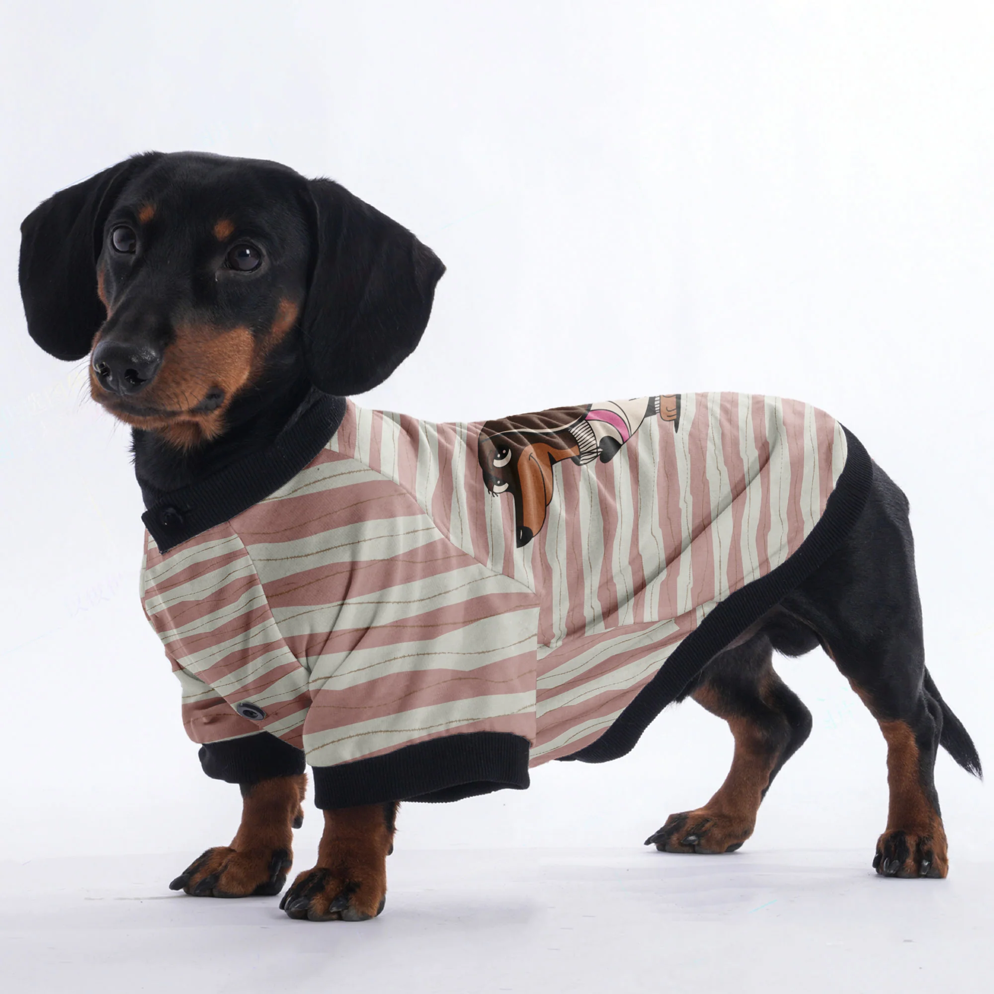 Stella - Jacket for Dachshunds - Image 3