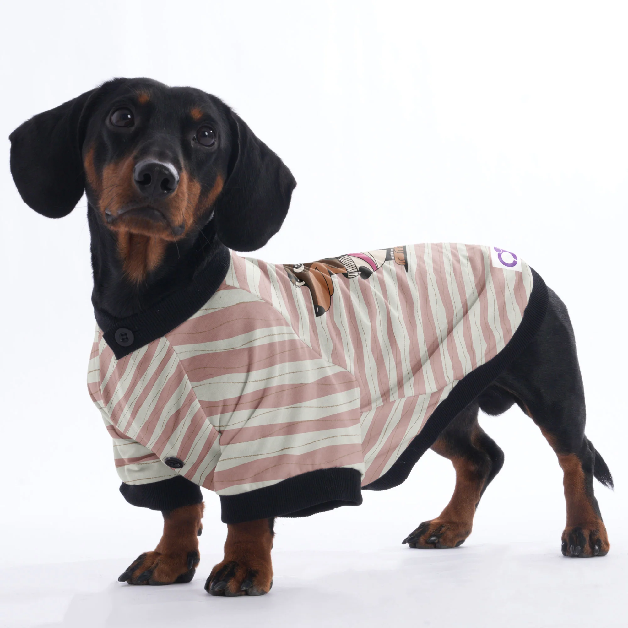Stella - Jacket for Dachshunds - Image 4