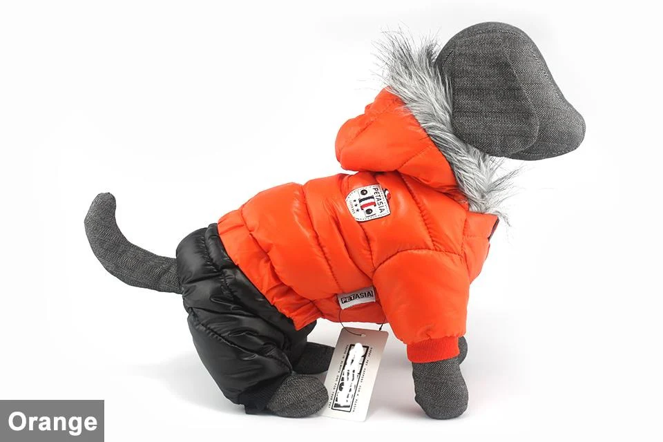Stylish Dachshund Waterproof Coat I Upgrade Winter Jacket for Puppy - Image 30