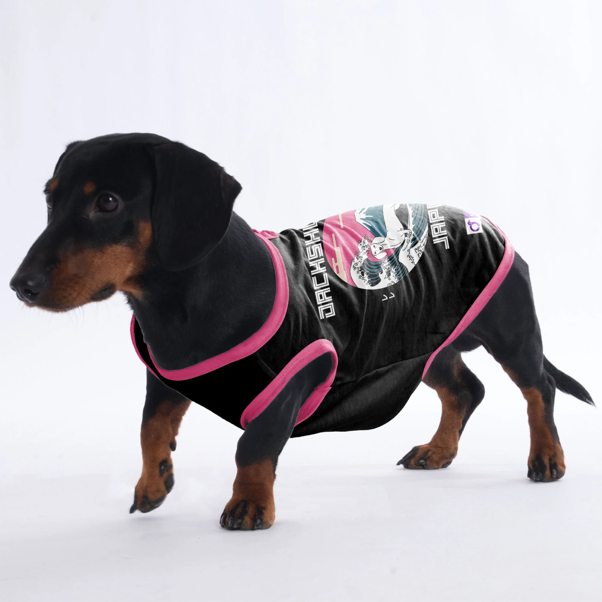 Teddy - Shirt for Dachshunds - Image 4