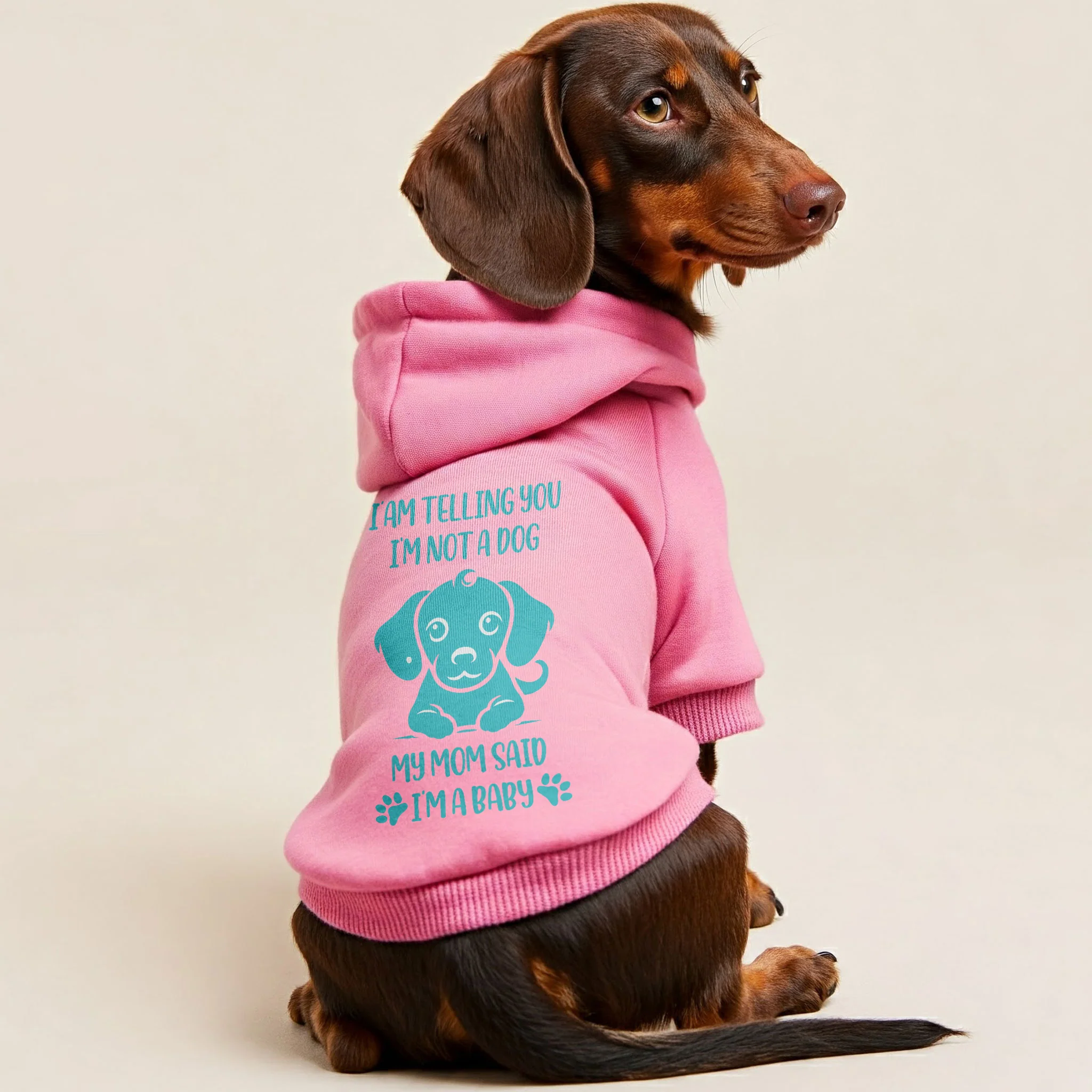 The Baby - Personalized Dachshund Hoodies with Funny Quotes – Stylish, Cozy, and Premium 100% Cotton - Image 2