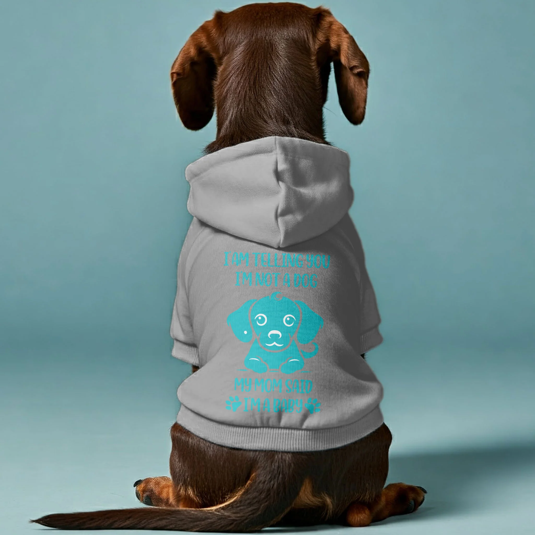 The Baby - Personalized Dachshund Hoodies with Funny Quotes – Stylish, Cozy, and Premium 100% Cotton - Image 3
