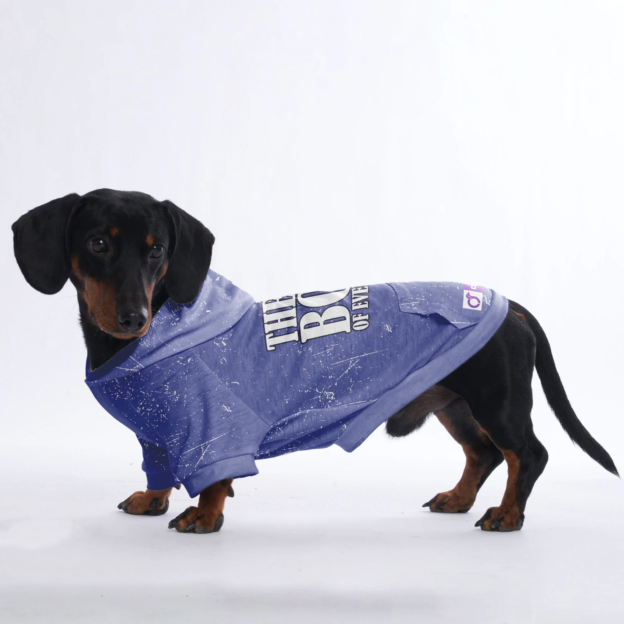 The boss of everything - Hoodies for Dachshunds - Image 2