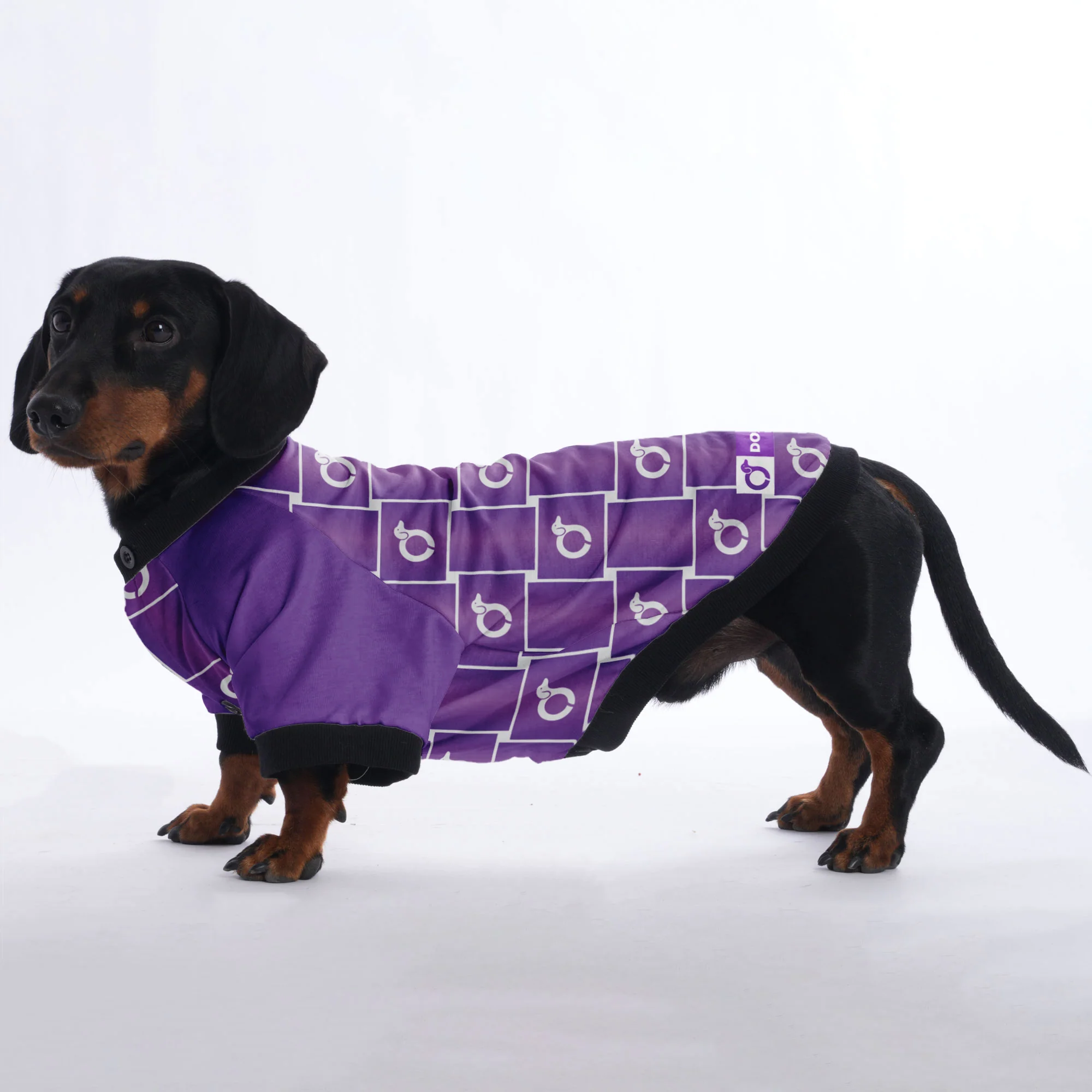 Tom - Jacket for Dachshunds - Image 2