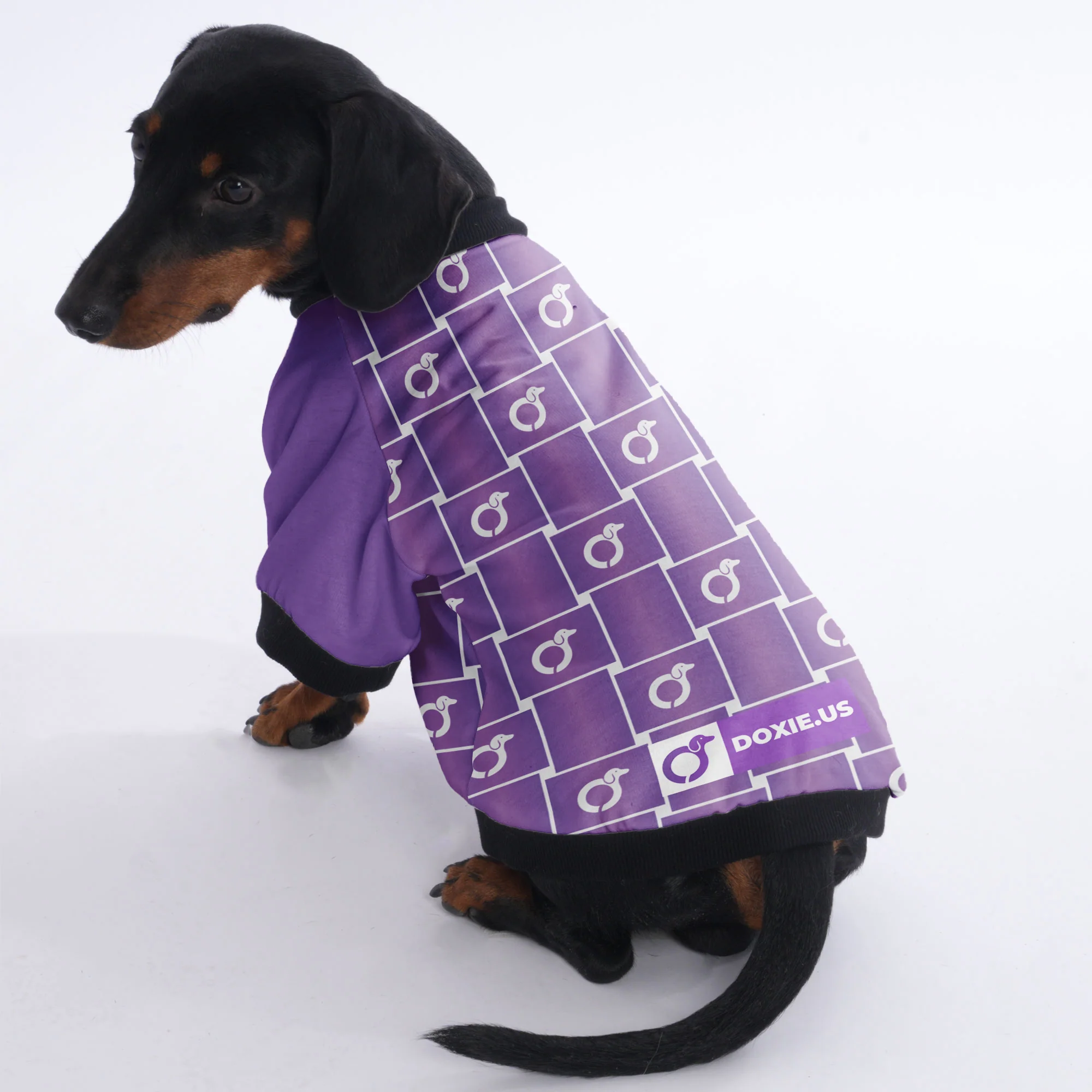 Tom - Jacket for Dachshunds - Image 3