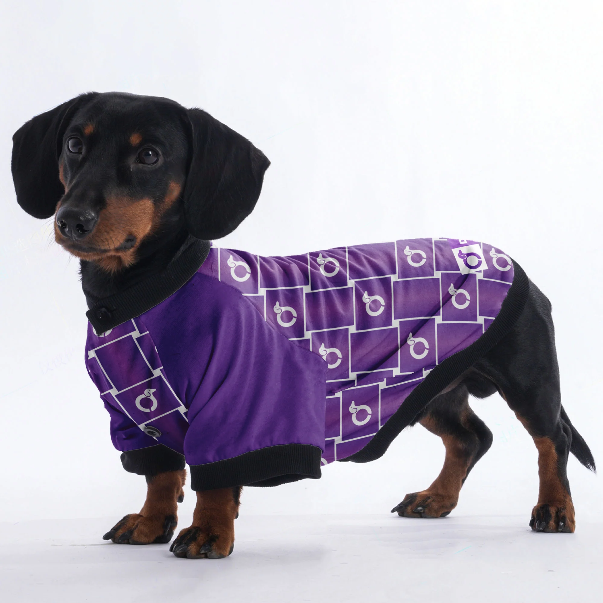 Tom - Jacket for Dachshunds - Image 5