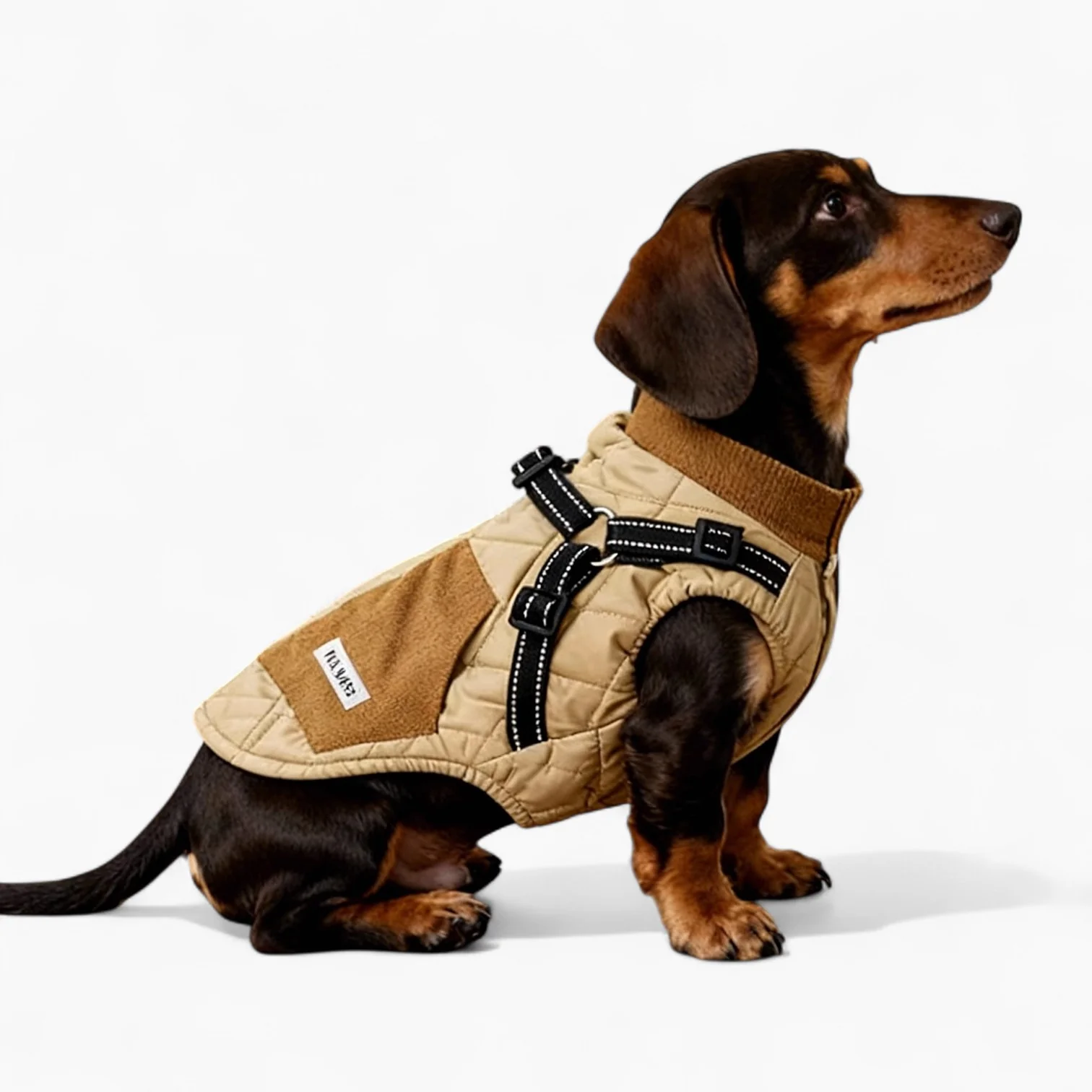 TrailPup Dachshund Traction Vest — Warm Winter Dog Harness Jacket