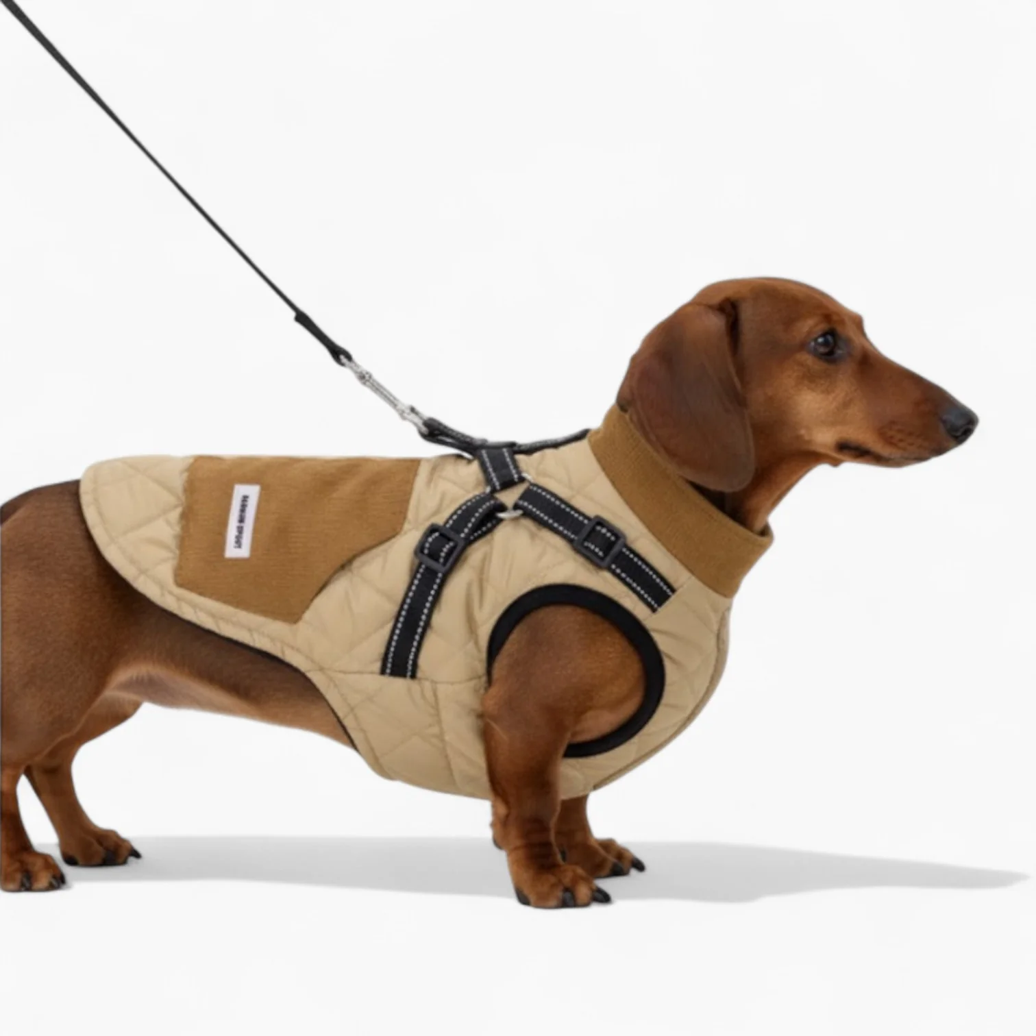 TrailPup Dachshund Traction Vest — Warm Winter Dog Harness Jacket - Image 4