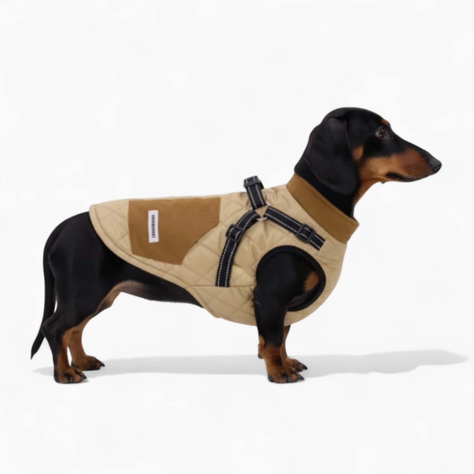 TrailPup Dachshund Traction Vest — Warm Winter Dog Harness Jacket - Image 5