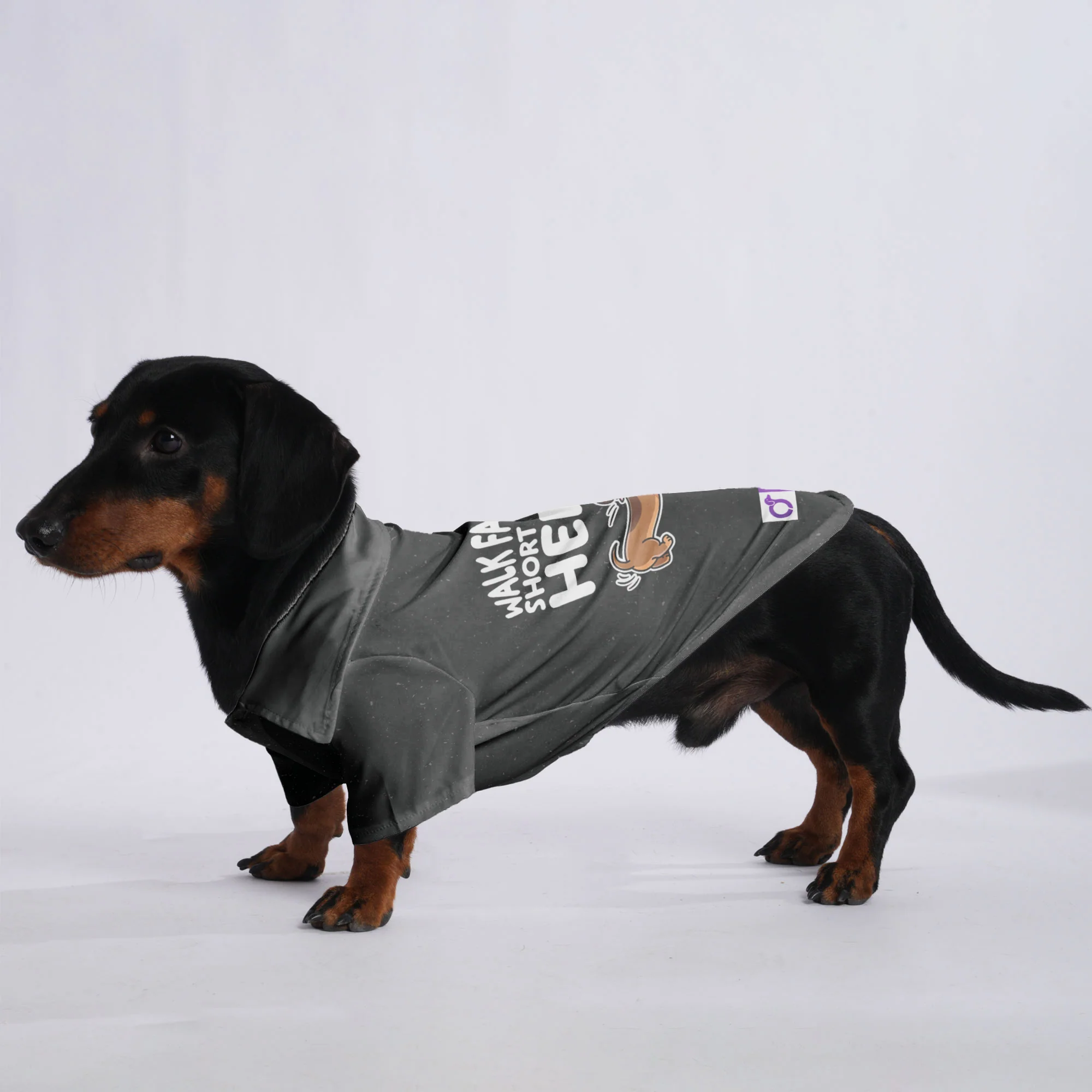 Walk faster, short legs here - Hawaiian Shirt for Doxies - Image 2