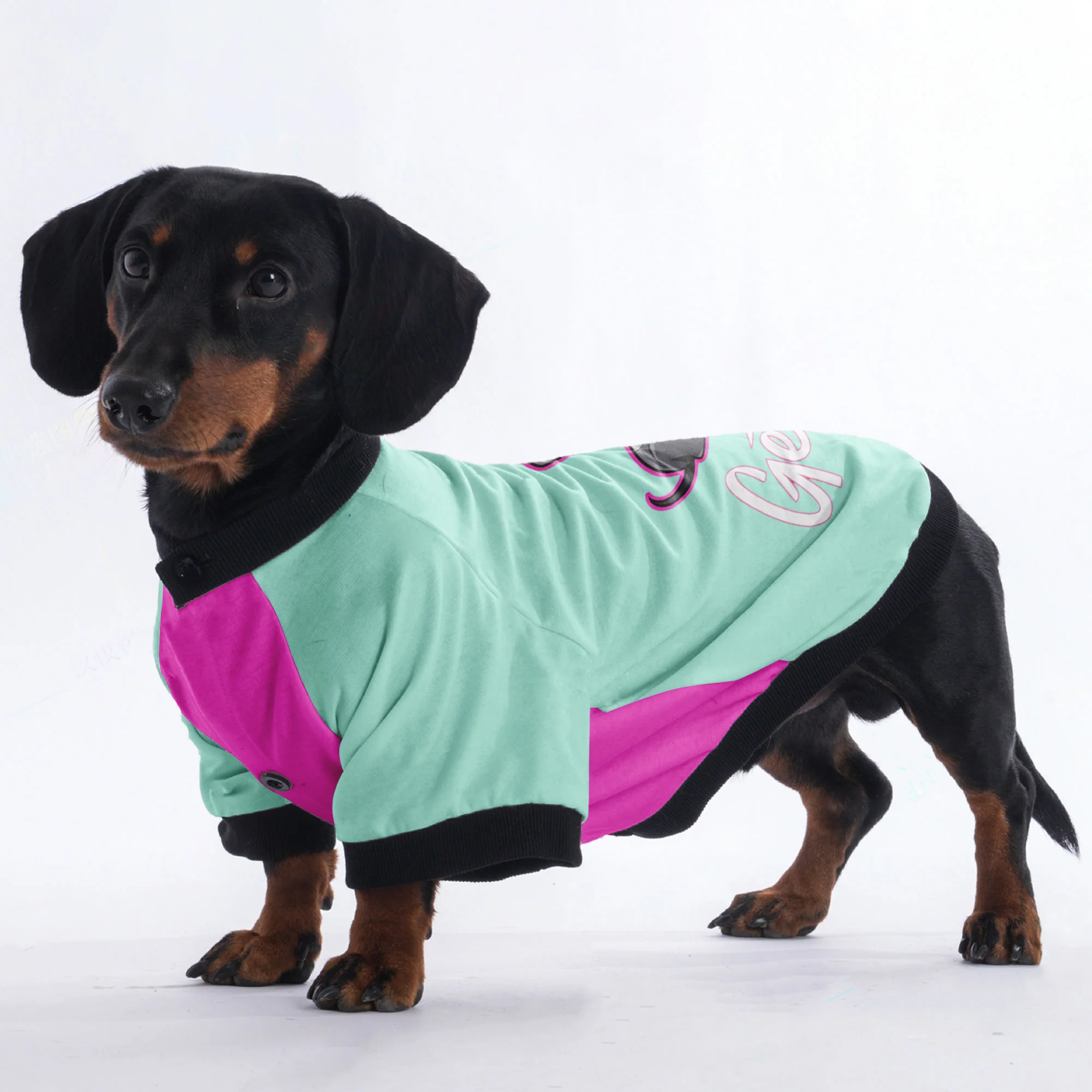 Willow - Jacket for Dachshunds - Image 3