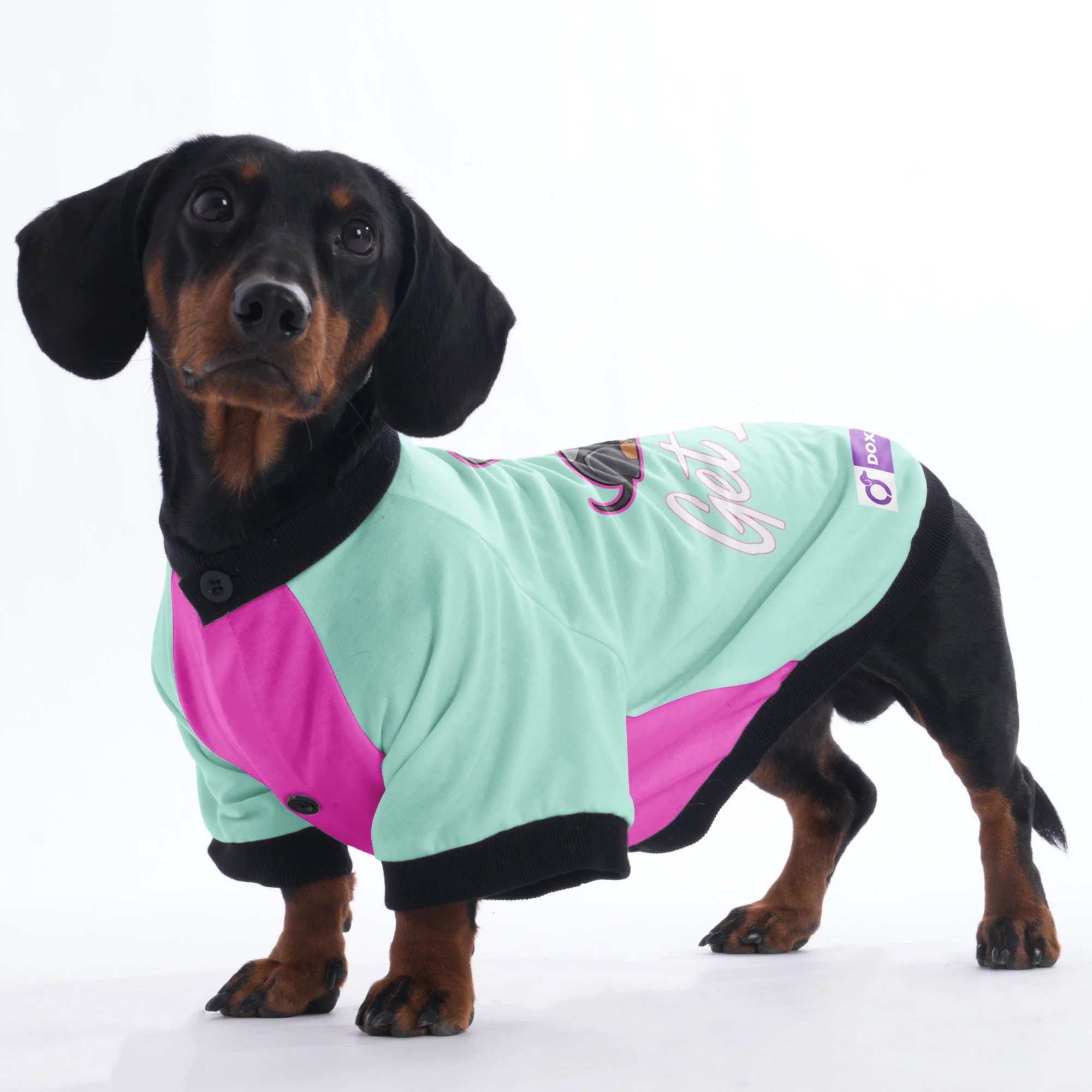 Willow - Jacket for Dachshunds - Image 4