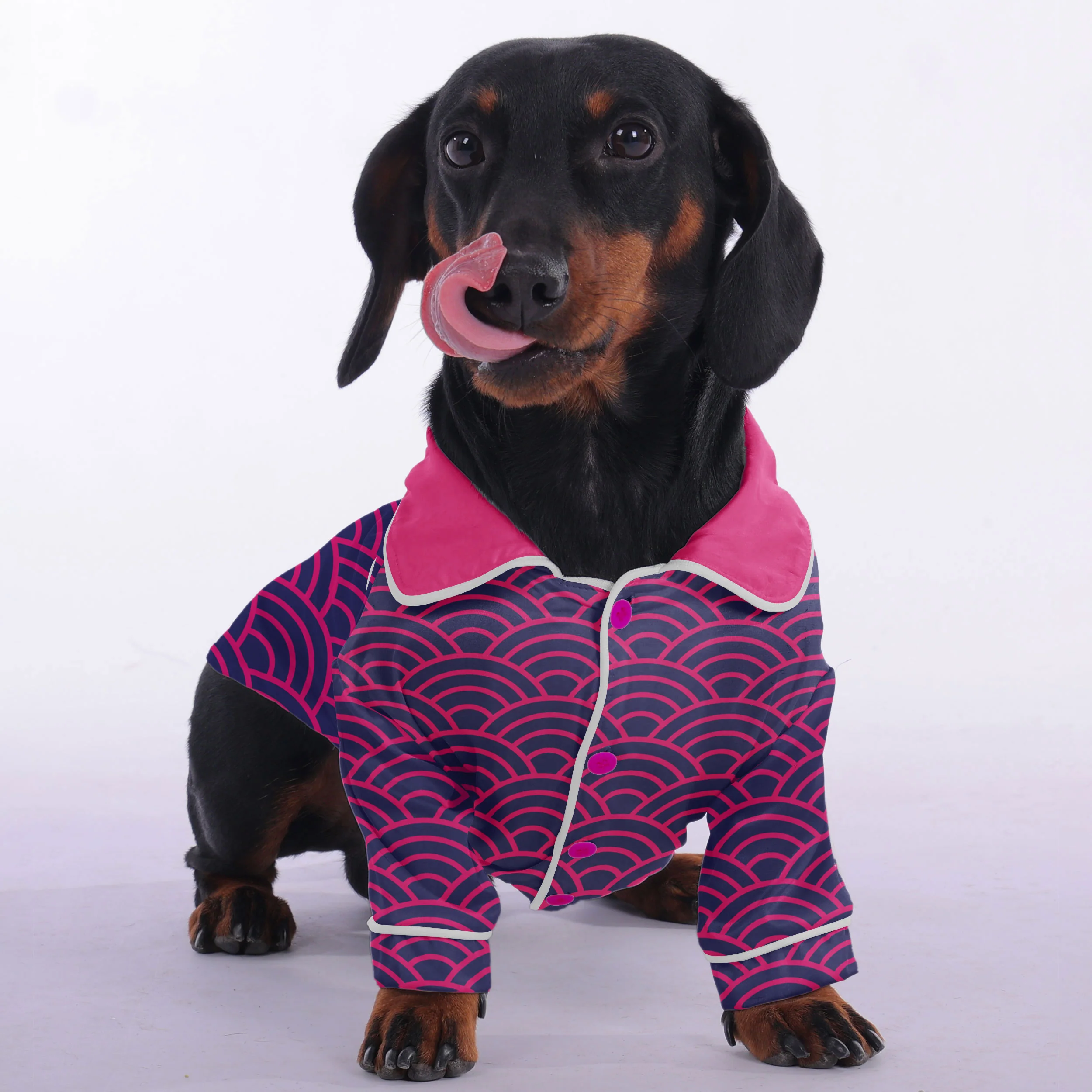 Willy -  Pajamas for Dachshund - Image 2