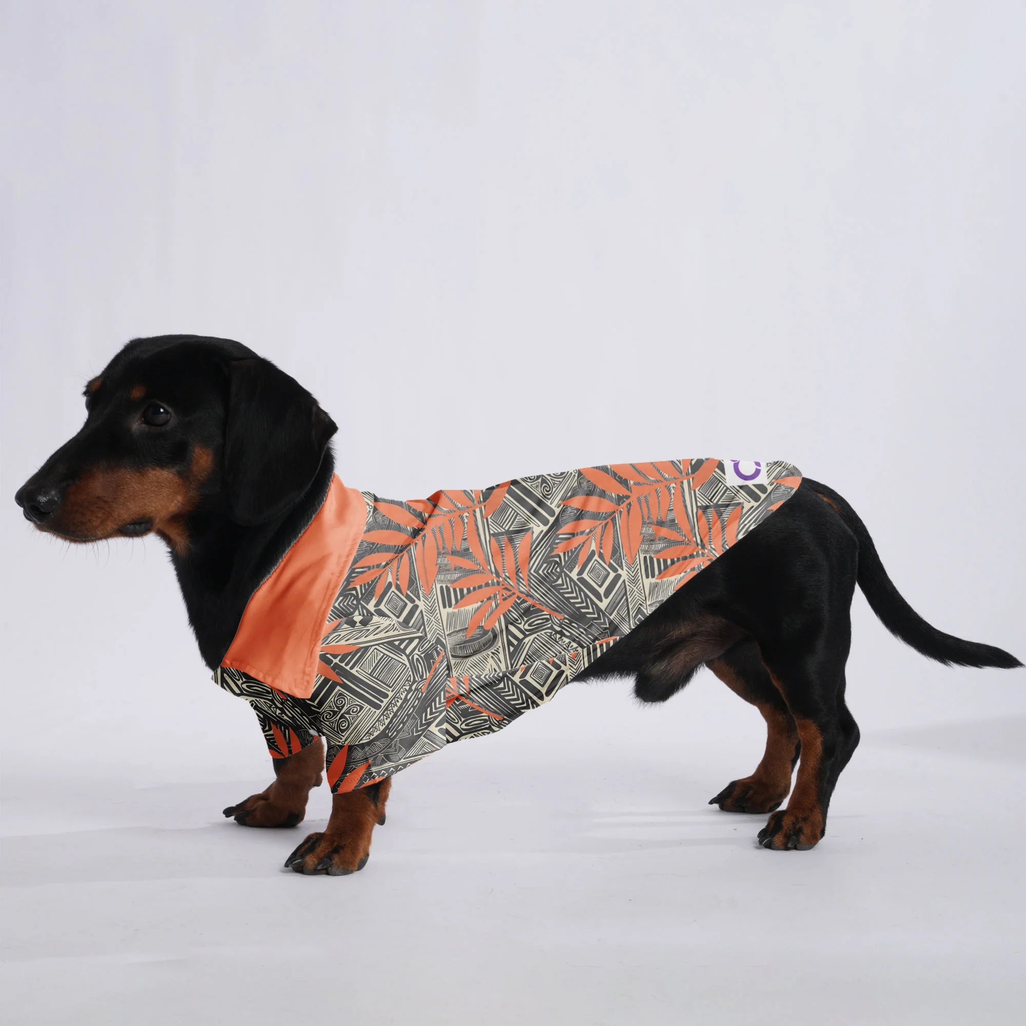 Zeus - Hawaiian Shirt for Doxies