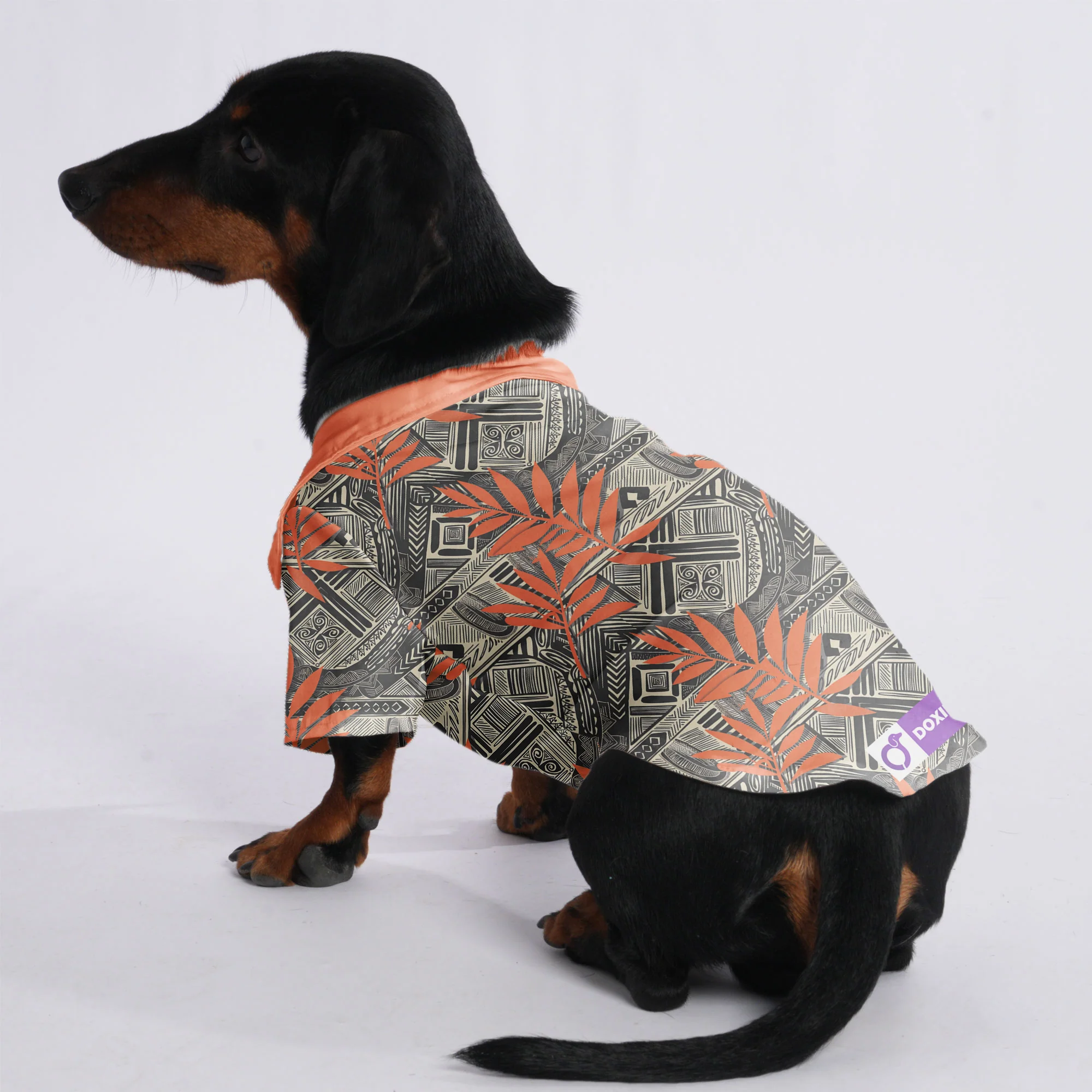 Zeus - Hawaiian Shirt for Doxies - Image 3