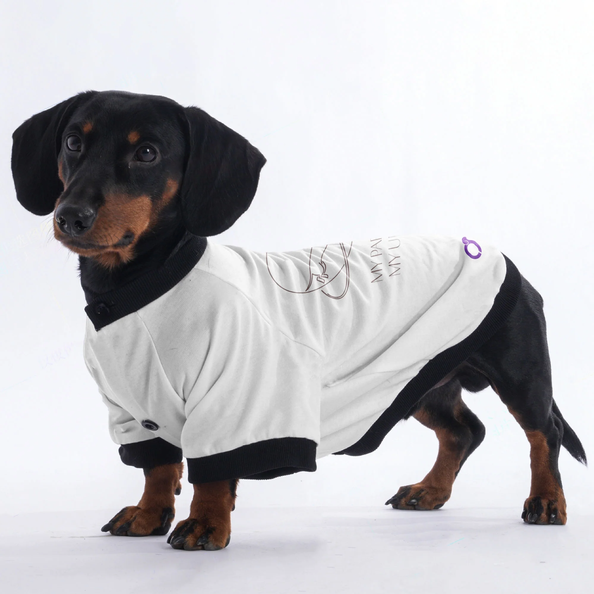 Zoey - Jacket for Dachshunds - Image 4